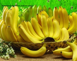 Bananas with blood with HIV infection, AIDS from Syria: is it true, can HIV live in a banana? Is it possible to become infected with HIV, AIDS through bananas, fruits? There is something red inside the banana: what is it?