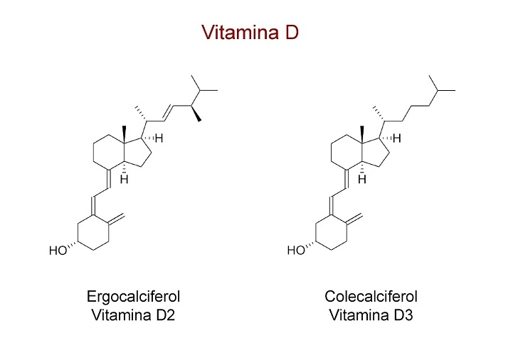 3 form more active and easily digestible