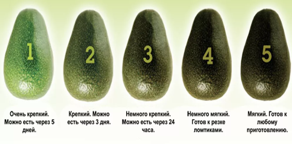 Avocado's ripeness
