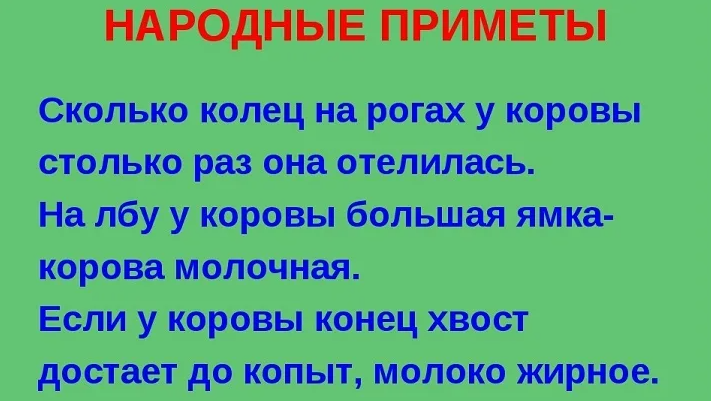 Народные приметы про корову