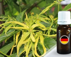 Ilang-ylang oil-magical properties: use for magic rites