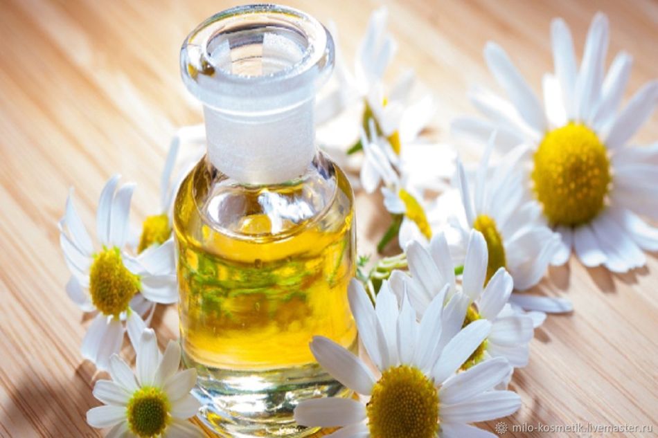 Chamomile essential oil