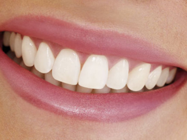 Сколько зубов у взрослого человека во рту в норме? Анатомия — виды и строение зубов человека: описание