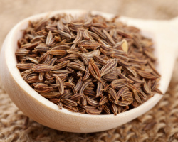 How to take caraway caraway seeds for weight loss? Beneficial properties and methods of using black and ordinary caraway seeds for weight loss