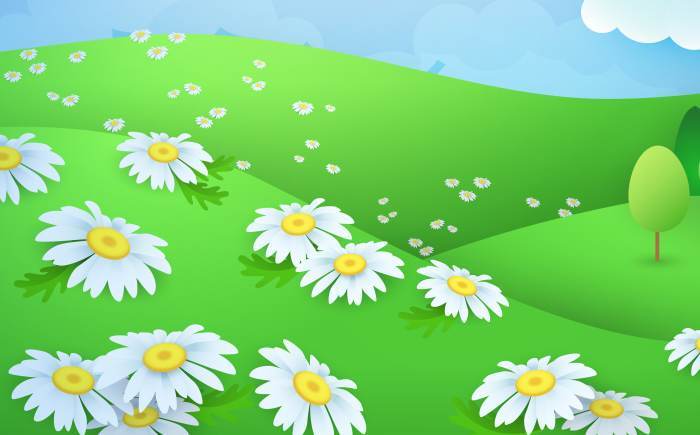Загадки про полевые, луговые цветы для детей - подборка про ромашку