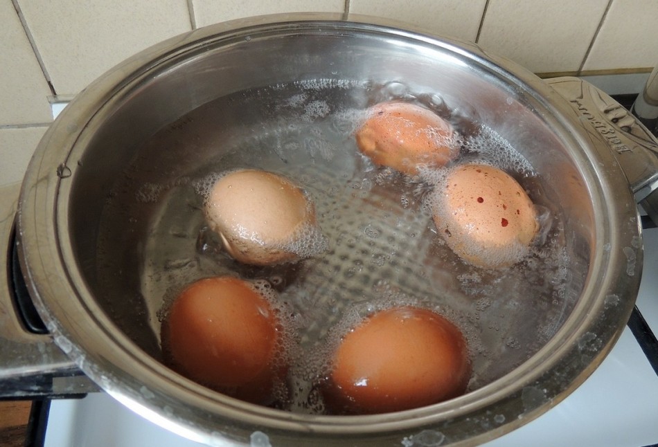 Сварить яйца в холодной воде. Варка яиц. Отварить яйца. Яйца после варки. Варить яйца.
