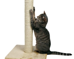 Comment faire la griffe d'un chat vous-même: idées, photos, recommandations générales, master classes sur la fabrication d'une griffe murale, des griffes de griffes, des clacks Dumber, du carton ondulé