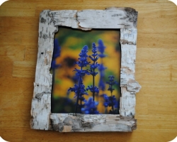 Crafts - frames for photos with your own hands from improvised materials: ideas, photos. How to make a beautiful children's, autumn, copper, scrapbooking frame for photos with your own hands: templates. Decoration and decoration of frames for photos with your own hands: ideas, photo