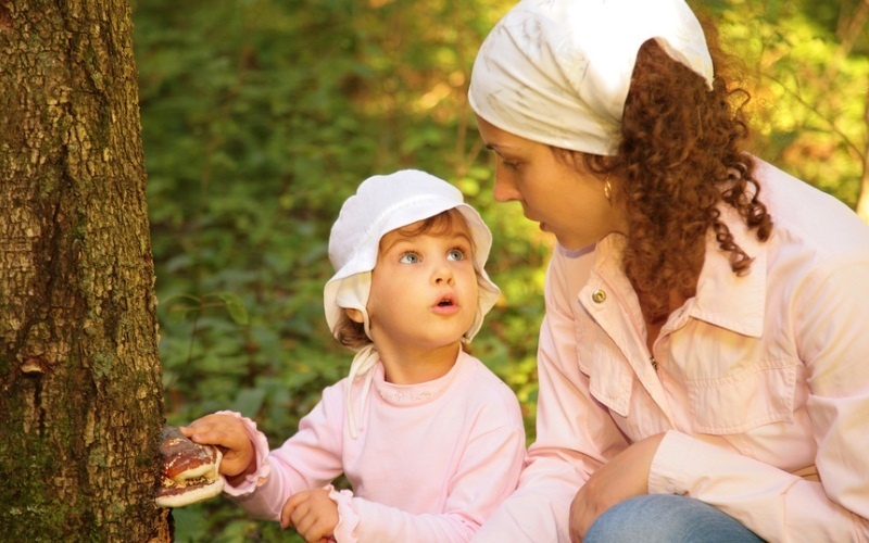 مذكرة للآباء عن القراد