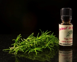 Эффективное лечение маслом чайного дерева. От каких болезней помогает масло чайного дерева?