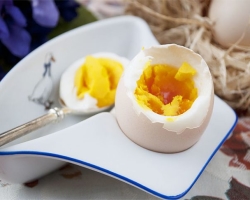 Diet Kimia Osama Hamdiy. Versi asli telur dari diet Osama Hamdie