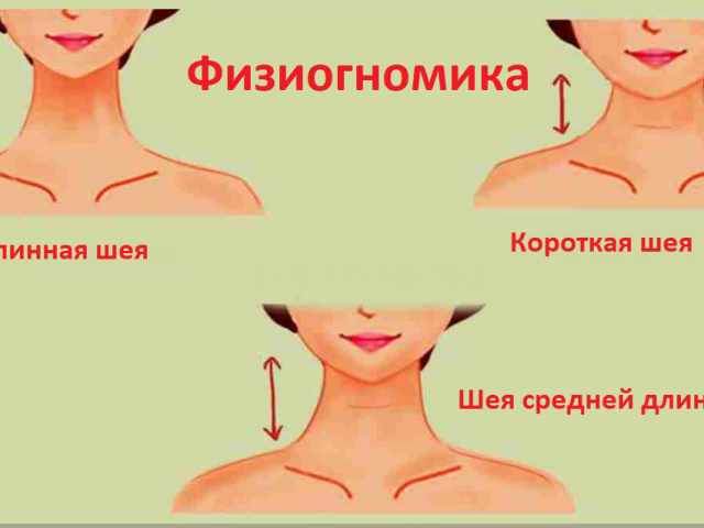 Fiziognomija: Opredelitev značaja moškega in ženske na vratu. Kaj je dolg in kratek debel ali tanek vrat pri moških in ženskah?