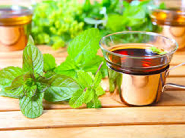 The benefits and harm of mint decoction, tincture, tea for women, men, children, pregnant women. Mint tea recipes