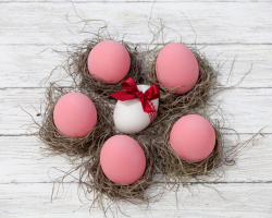 Come dipingere le uova di Pasqua barbabietole in rosa?