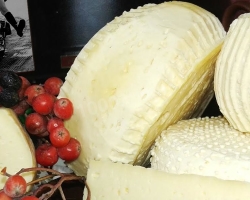 Τυρί από γάλα κατσίκας στο σπίτι: μαλακό, σκληρό, πορώδες, τήγμα, άλμη -απλές συνταγές με βήμα -βήμα μαγειρέματος