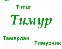 Det manliga namnet Timur-as kan kallas annorlunda: Forms of Name
