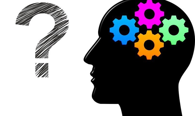 IQ тест на интеллект: история появления, составляющие, вопросы, результаты