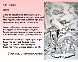 Анализ стихотворения «Узник» Пушкина: краткий и полный анализ, жанр, средства выразительности