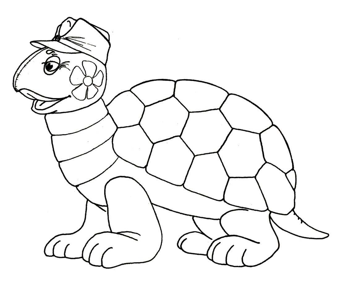 Wise turtle, drawing for sketching 2