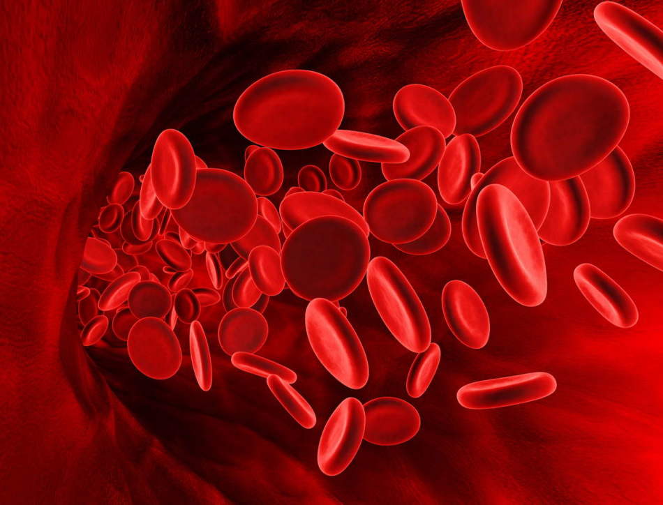 vörös vérsejtek