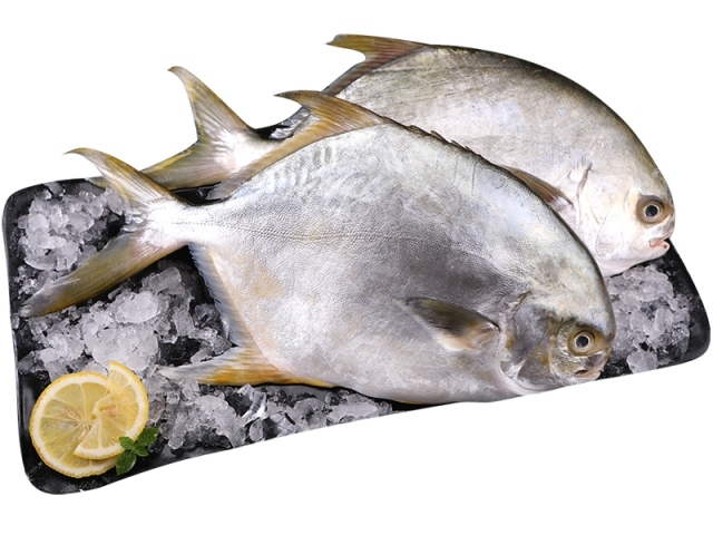 Можно ли и как правильно есть масляную рыбу? Какие могут быть последствия от ее употребления? Что делать при отравлении масляной рыбой?