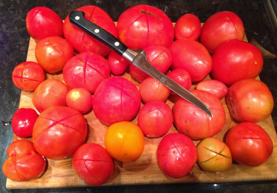Pepper lecho et tomate: étape de préparation de la scène