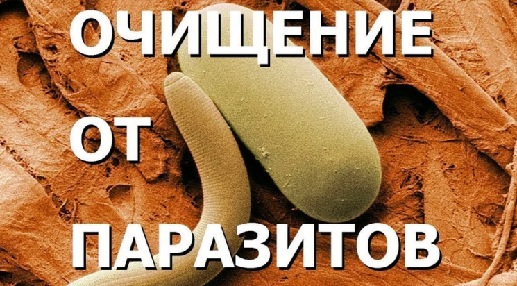 Paraziták tisztítása Gennady Malakhovban