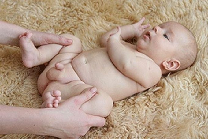 Как выглядят яички у новорождённого, фото