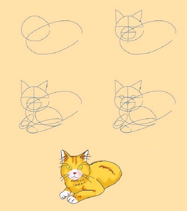 Как нарисовать красиво лежащую кошку поэтапно.
