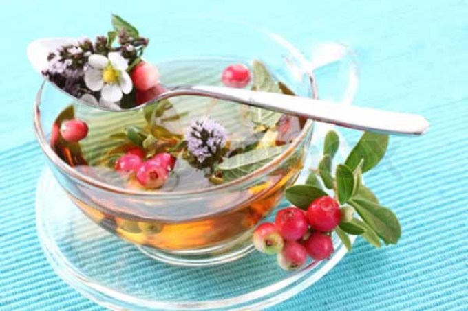 Чай от простуды готовиться из брусники и лекарственных трав.