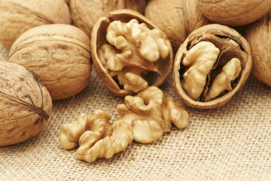 Kebanyakan ahli gizi menganggap kenari yang paling berguna di antara semua jenis kacang