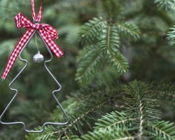 Kako dlje prihraniti novoletno drevo? Kako narediti, kaj doma dati živo božično drevo, tako da je božično drevo stalo in vonj dlje, tako da se ne bo zrušilo dolgo časa? Rešitev za živo božično drevo: kompozicija