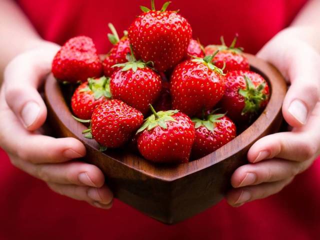 How to fertilize strawberries in the spring for a better harvest? Feeding strawberries after winter in early spring, before flowering, during flowering, organic and mineral fertilizers