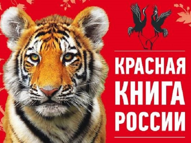 Животные Красной Книги Дагестана Фото