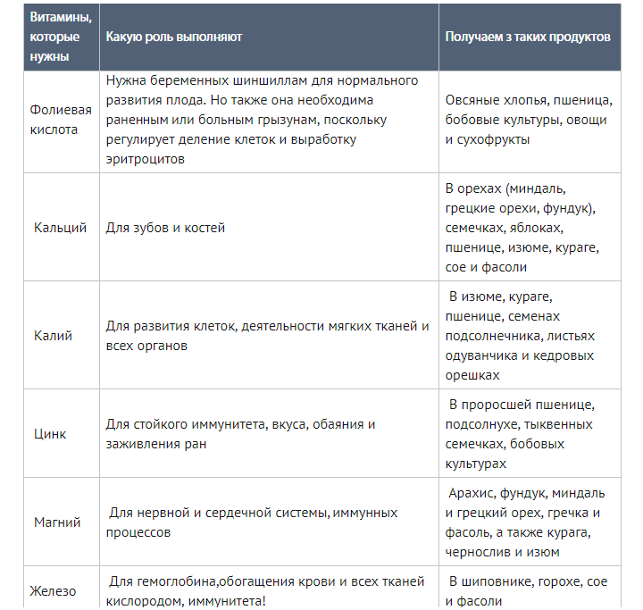 Чем кормить шиншиллу список. Таблица питания шиншиллы. Рацион кормления шиншилл таблица. Рацион шиншиллы. Рацион питания шиншиллы.