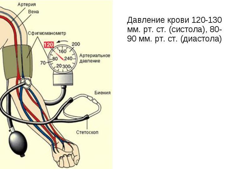 Merjenje človeškega pekla, kakšne so norme?