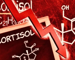 The level of cortisol in the blood: norm, diagnosis, normalization of indicators