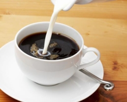 Kava z mlekom: korist ali škoda? Ali je mogoče piti kavo z mlekom, negovalno mamo, otroki? Recepti kave z mlekom v turku, cimetu, matičnem mleku, kakavu, medu, konjaku: opis. Kava z mlekom s sladkorjem in brez sladkorja: vsebnost kalorij na 100 gramov