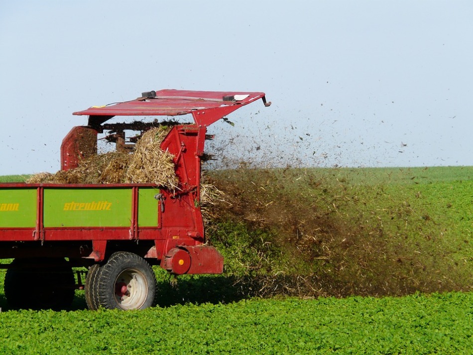 Corretto uso di fertilizzanti organici