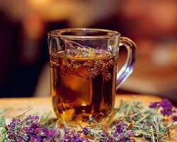 Come preparare correttamente il tè con timo: segreti e ricette di tè. I benefici e il danno del tè da timo