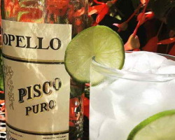 Pisco pijača iz Peruja in Čila: lastnosti, recepti koktajlov, Pus-Sauer