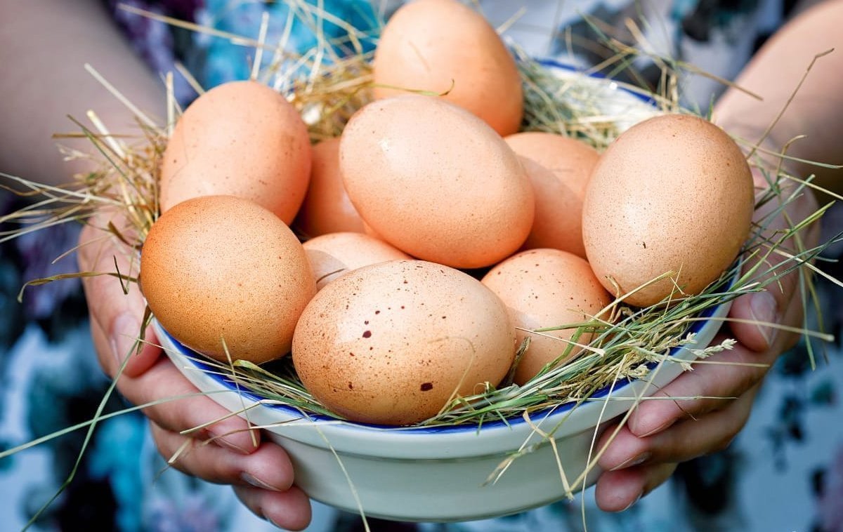 Домашний продукт