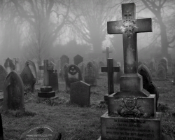 Is it possible to just come to the cemetery: how to come in and leave the cemetery?