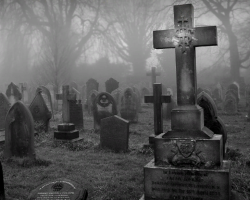 ¿Es posible simplemente venir al cementerio: cómo entrar y dejar el cementerio?