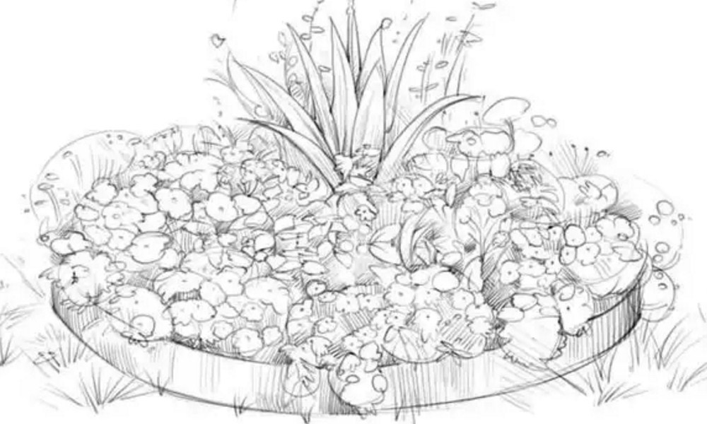 A flower bed with a pencil