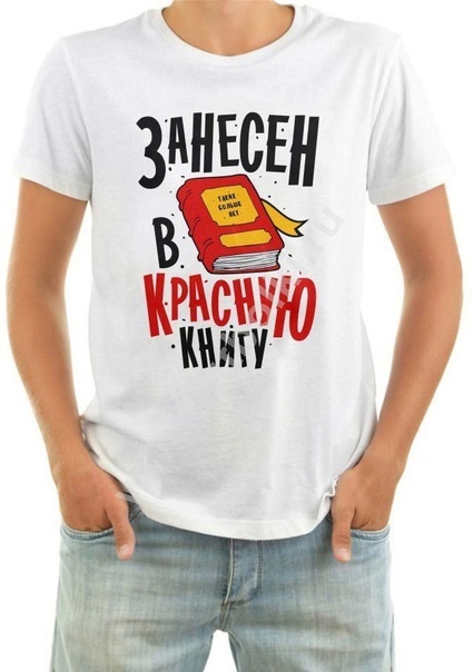 Такие надписи на мужские футболки можно совместить с забавными картинками