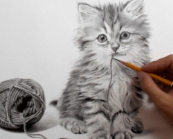 How to draw a kitten with a pencil in stages for beginners and children? How to draw an anime kitten with cute eyes, a muzzle of a kitten?