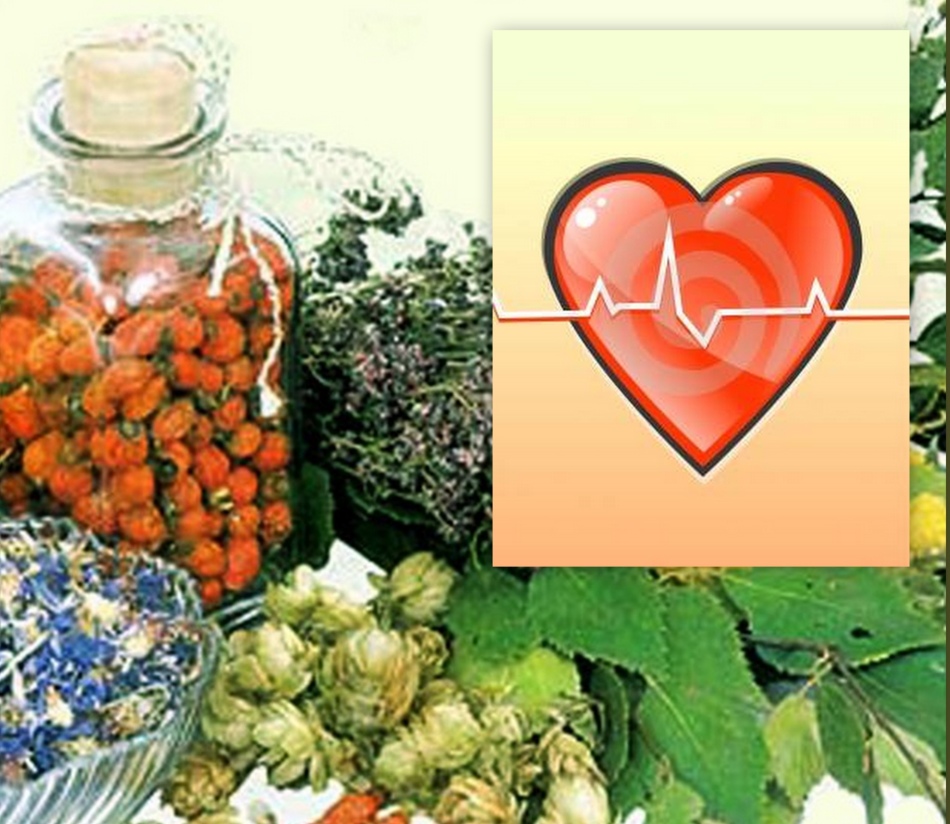 مع ارتفاع ضغط الدم ، تساعد الأعشاب أيضًا