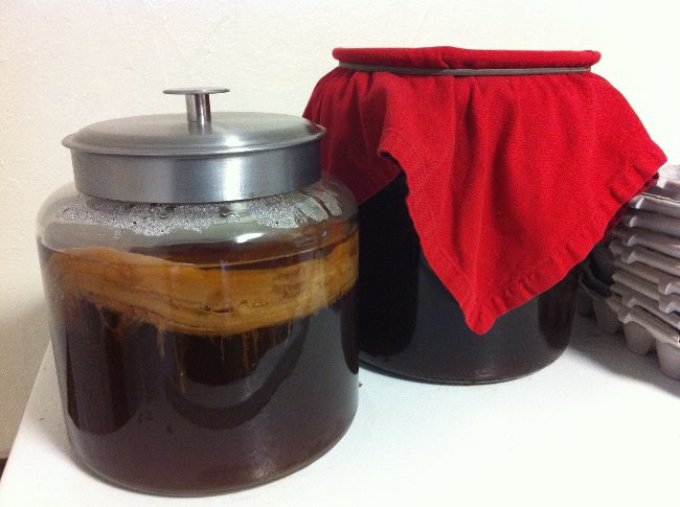A tea gombát meg lehet vásárolni vagy főzni