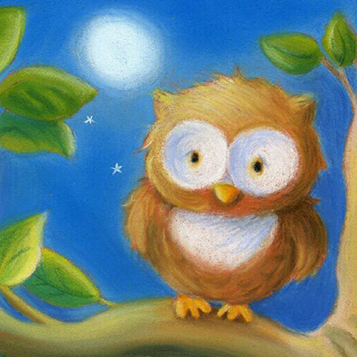 Owl: drawing for sketching